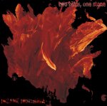 Two Birds, One Stone - 2000